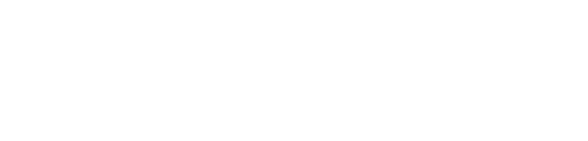 Te Kāwanatanga o Aotearoa, New Zealand Government